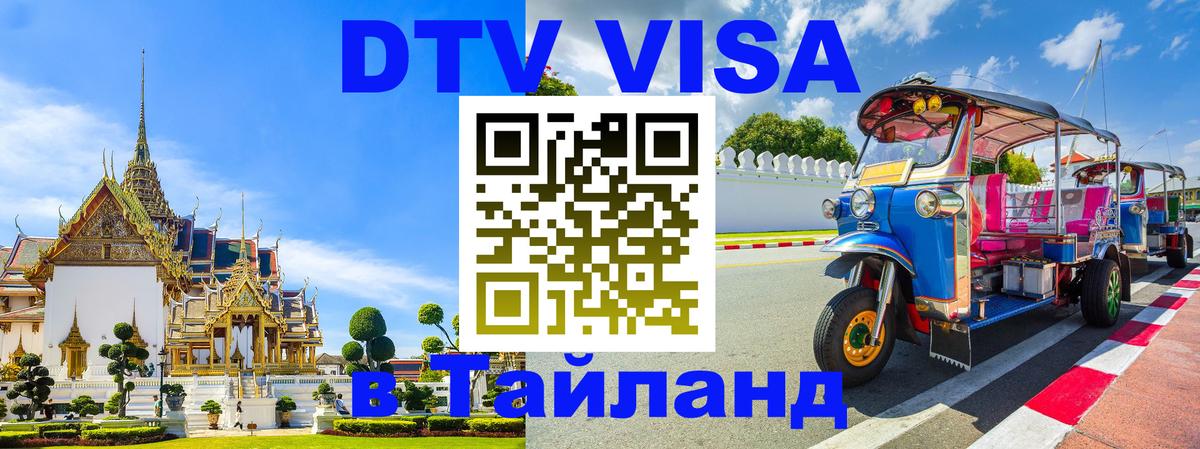 Оформление DTV визы под ключ: стоимость и тарифы, только загранпаспорт - Элиста 